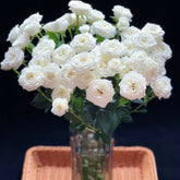 White Bubbles * 10